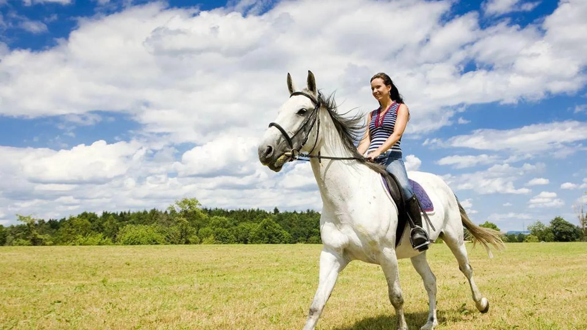 Изображение услуги1