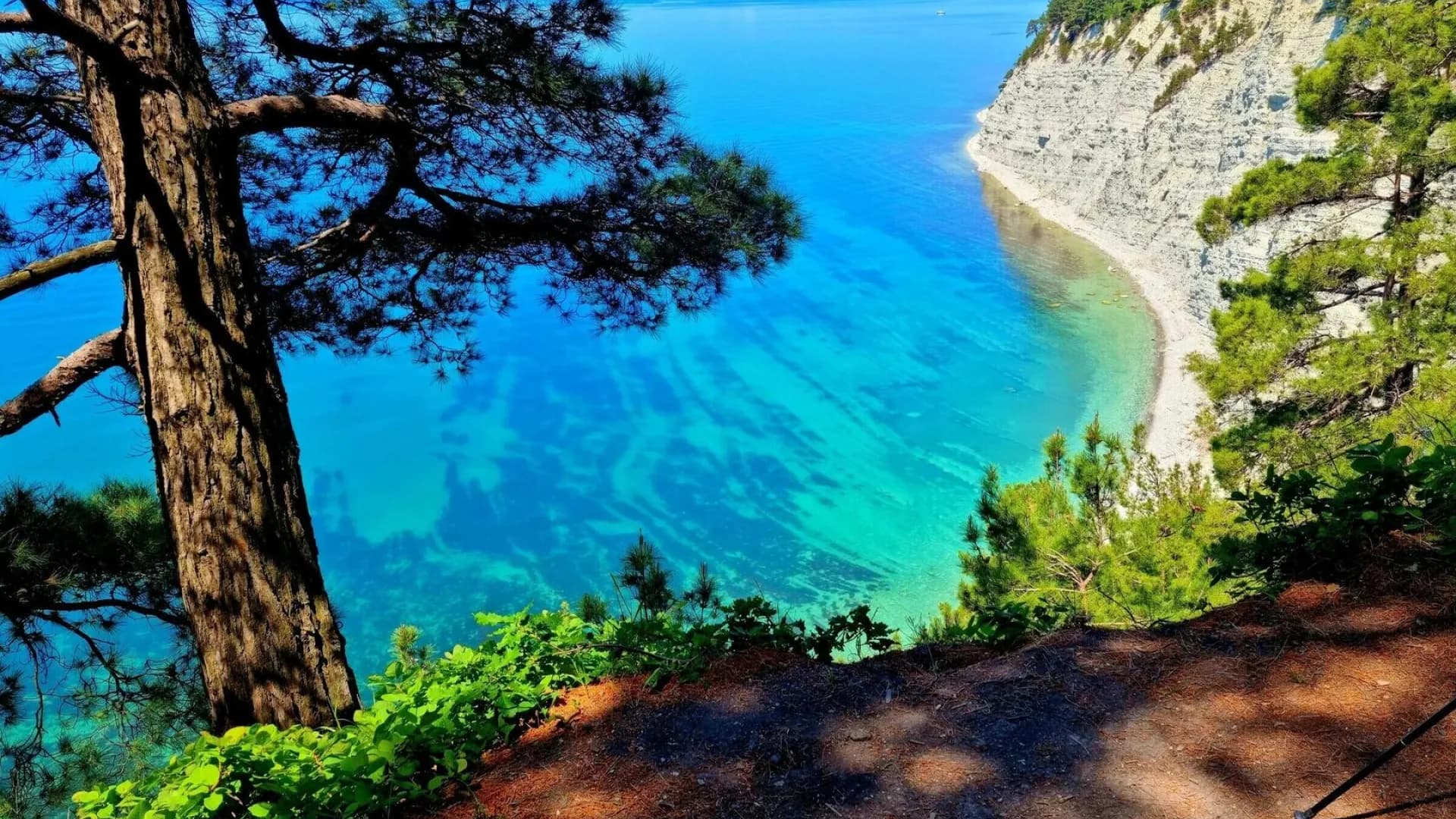 Изображение услуги1