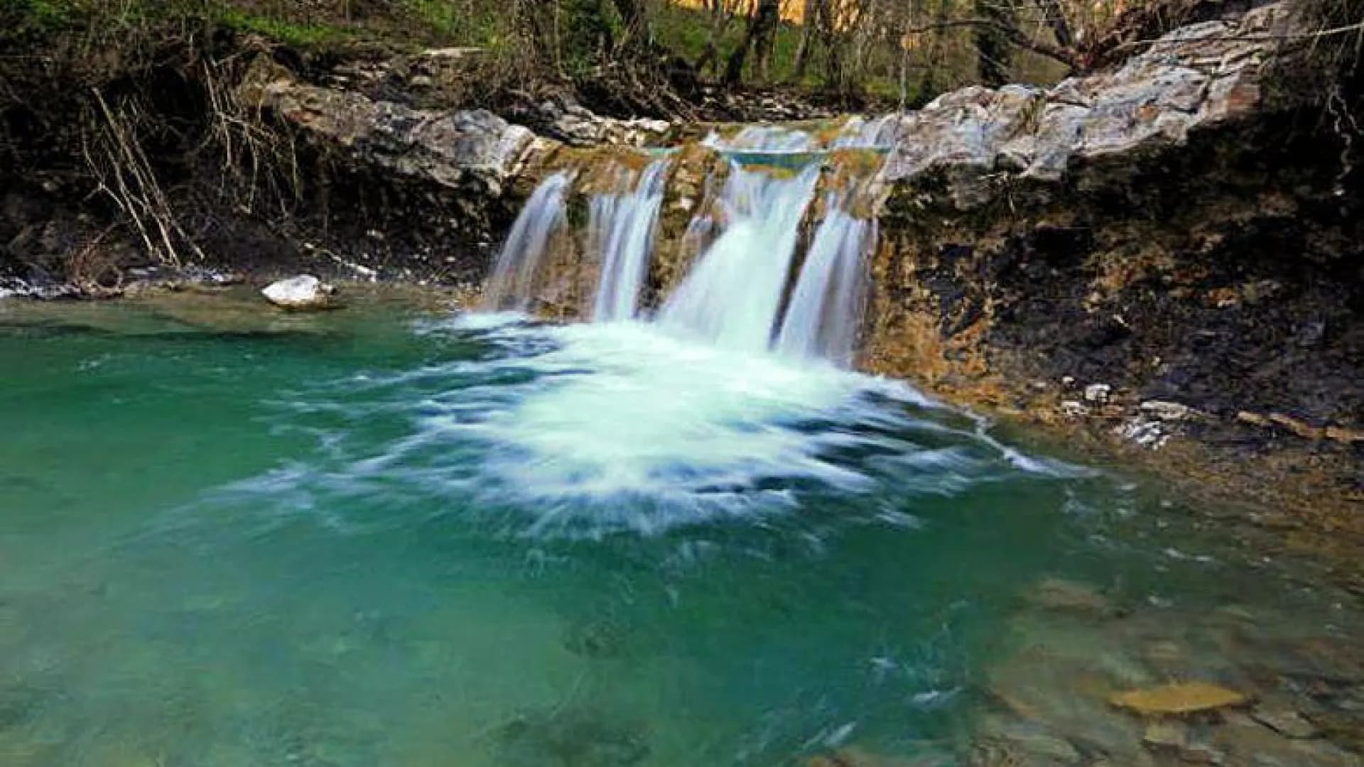 Изображение услуги6