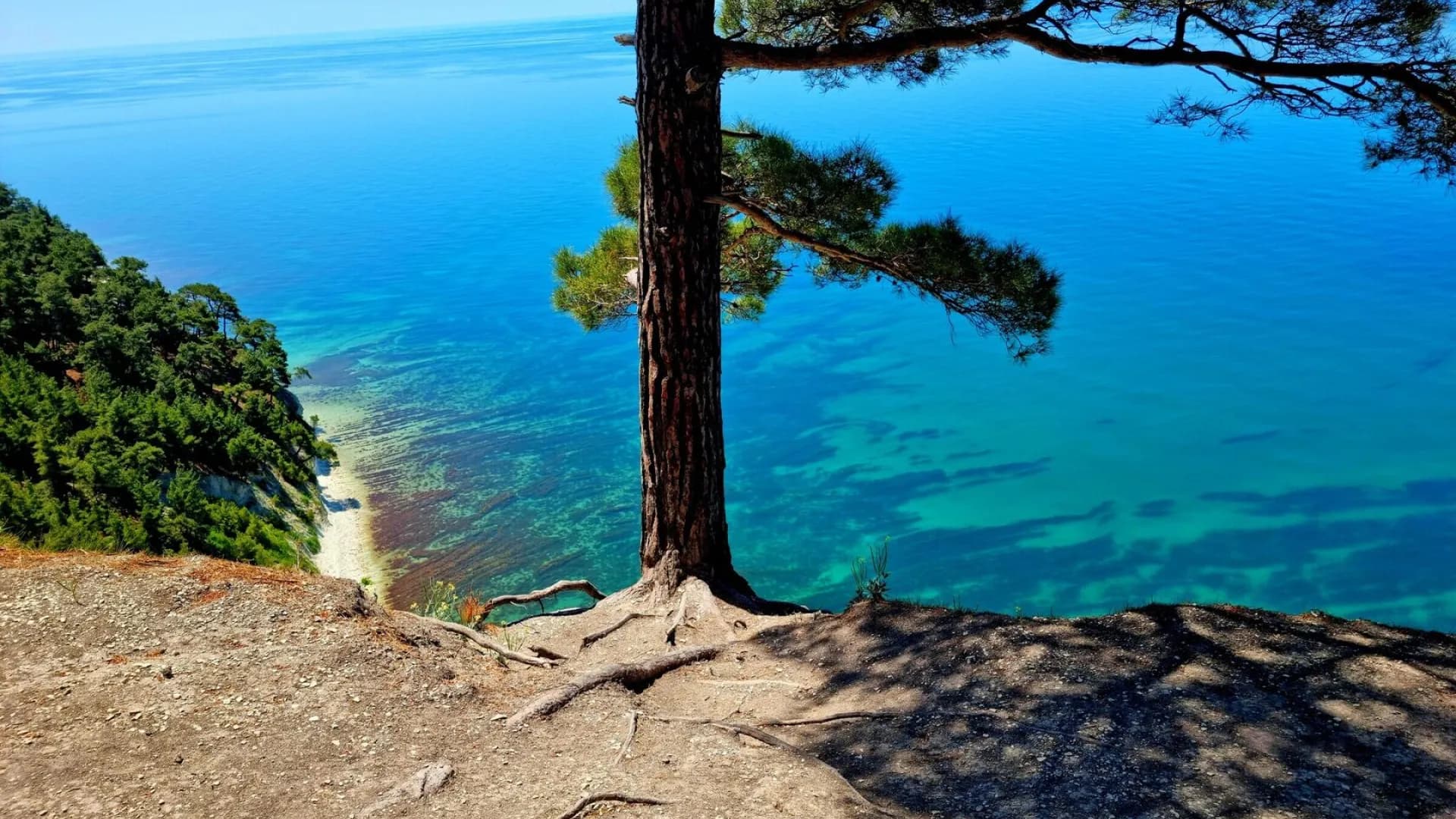 Изображение услуги12