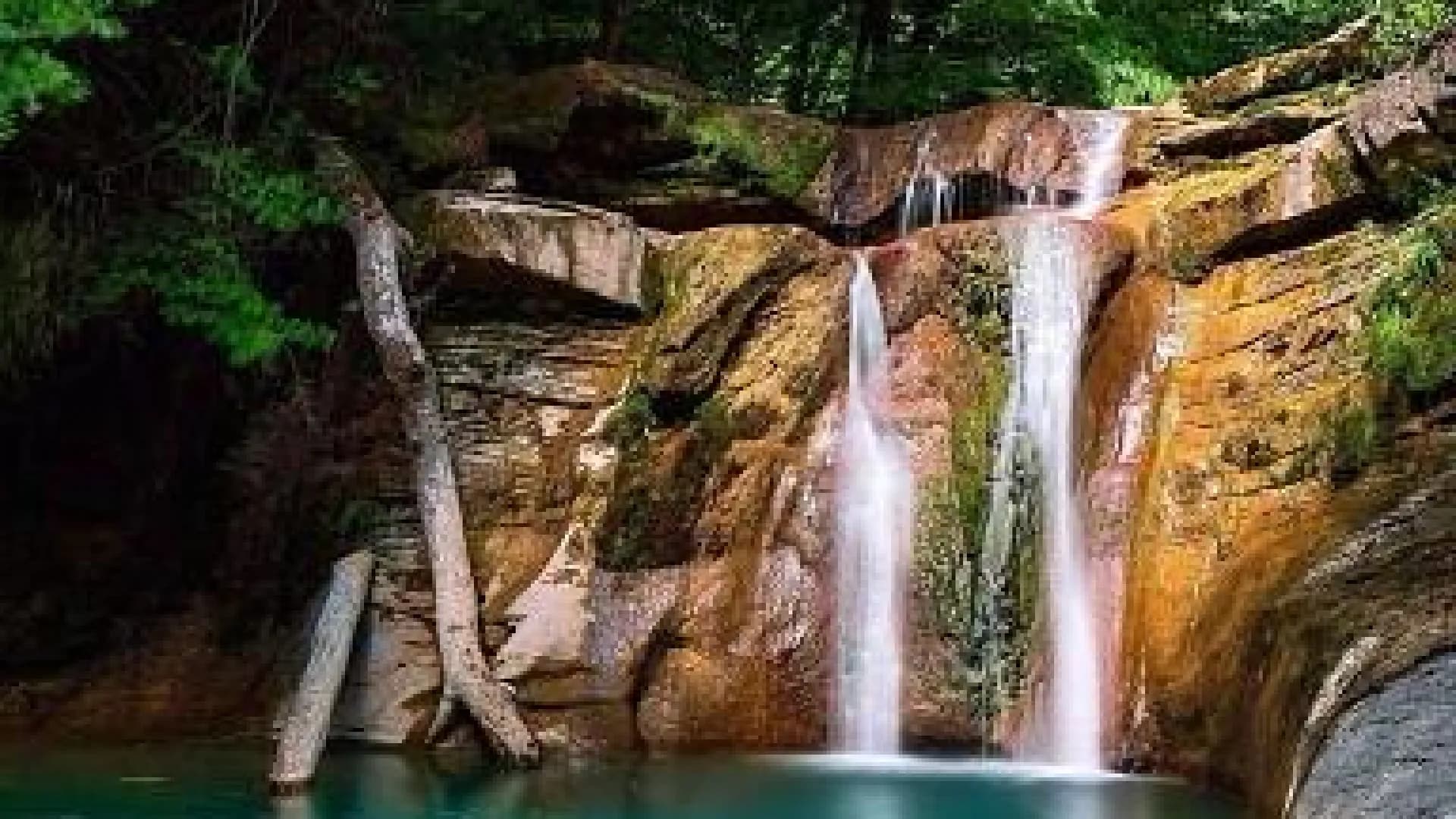 Изображение услуги2