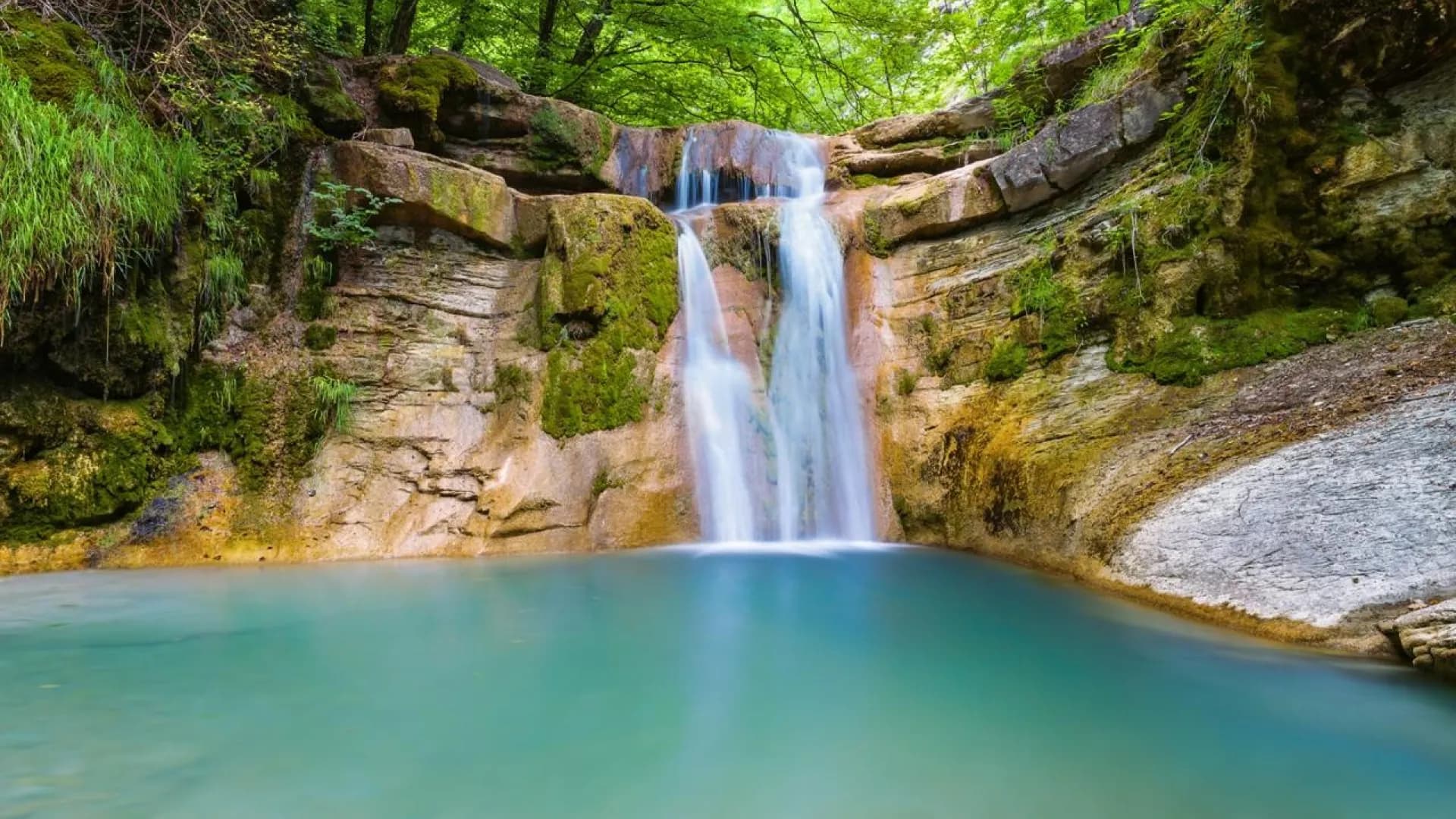 Изображение услуги4