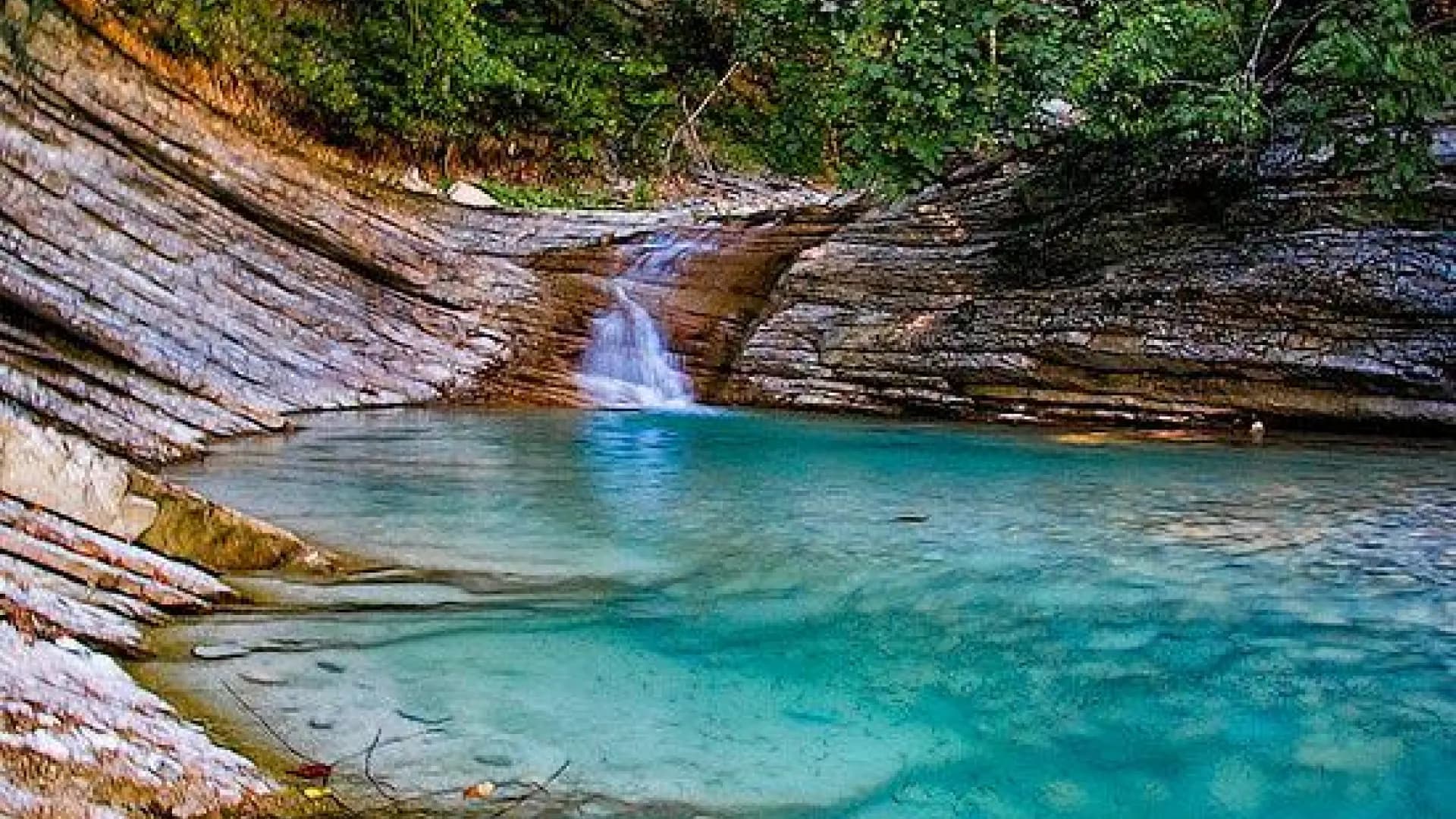 Изображение услуги5