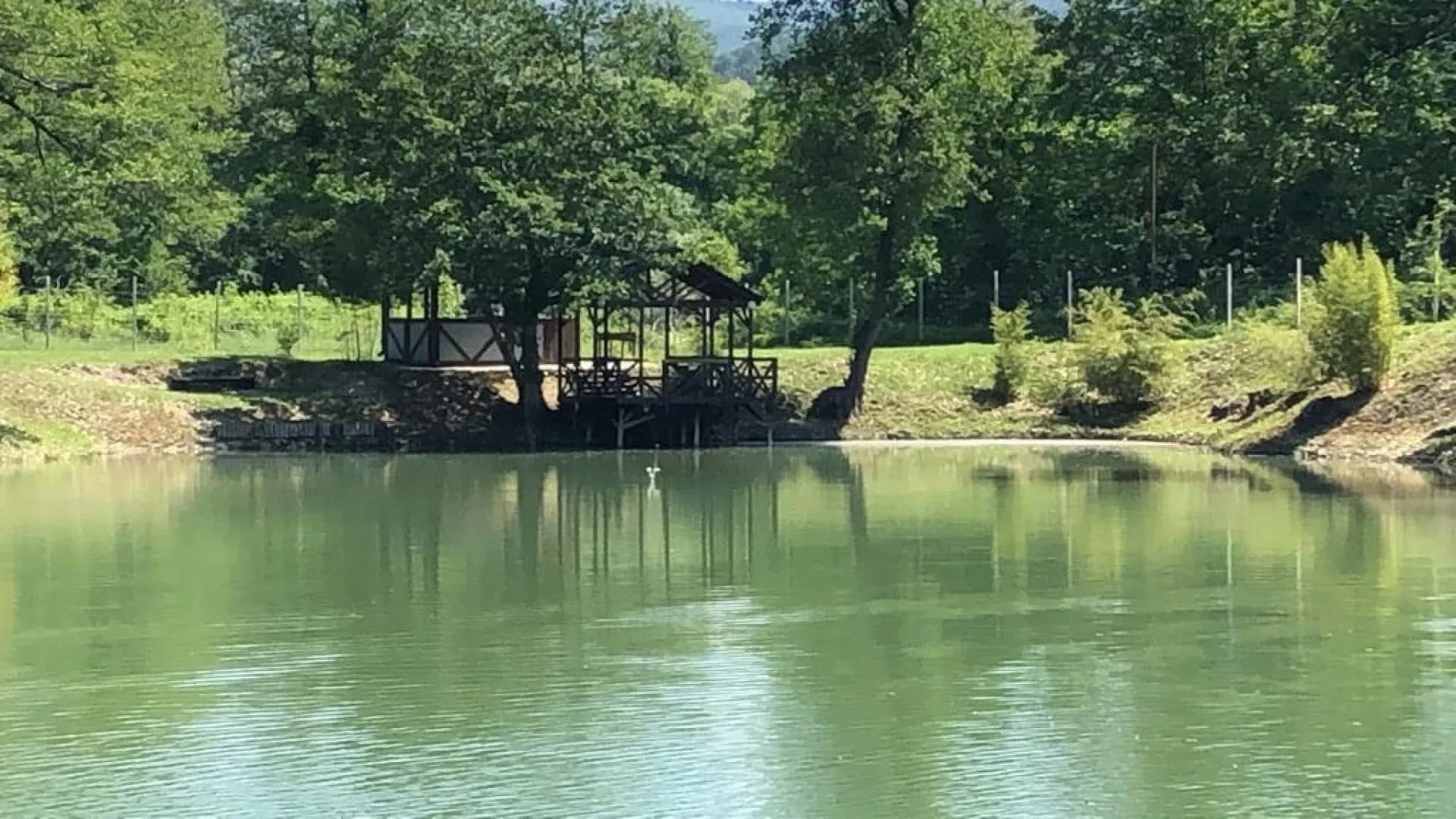 Изображение услуги0