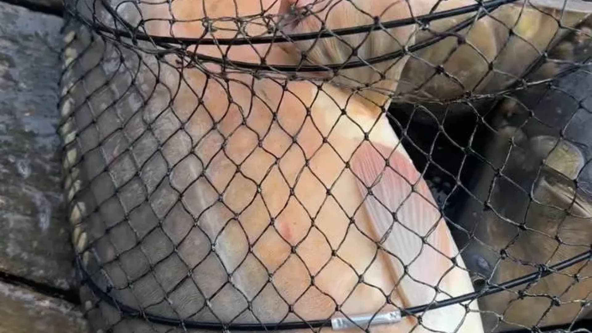 Изображение услуги4