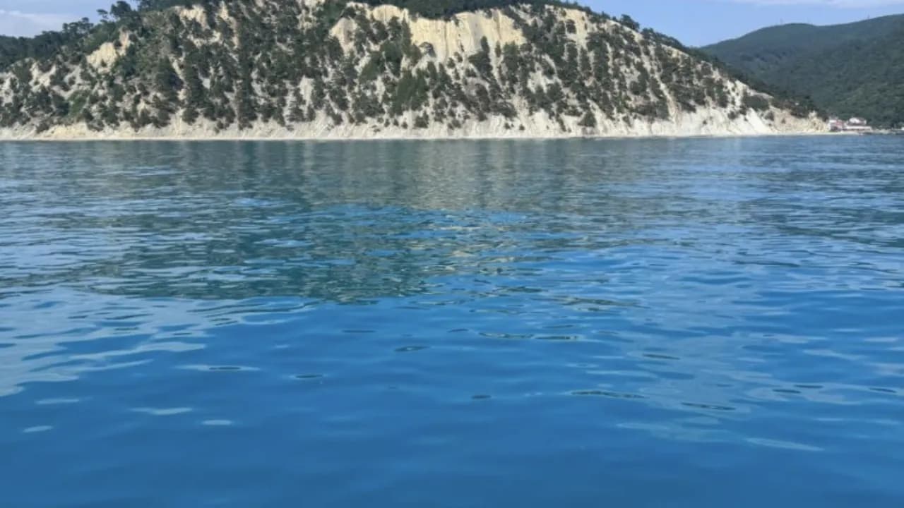 Изображение услуги4