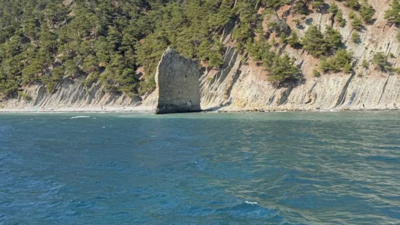 Изображение услуги5