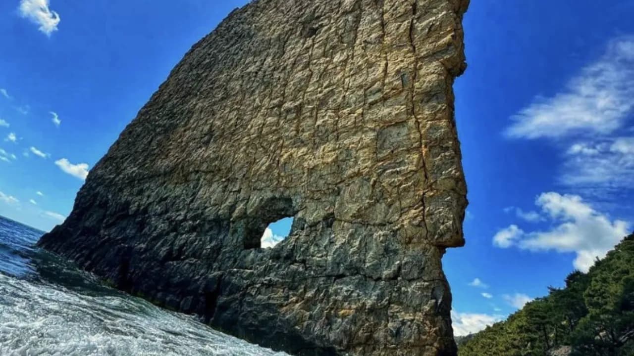 Изображение услуги6