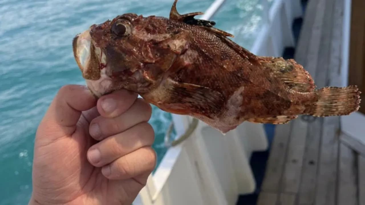 Изображение услуги3