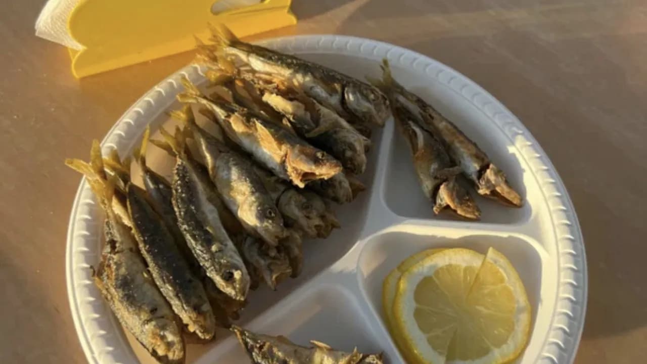 Изображение услуги4