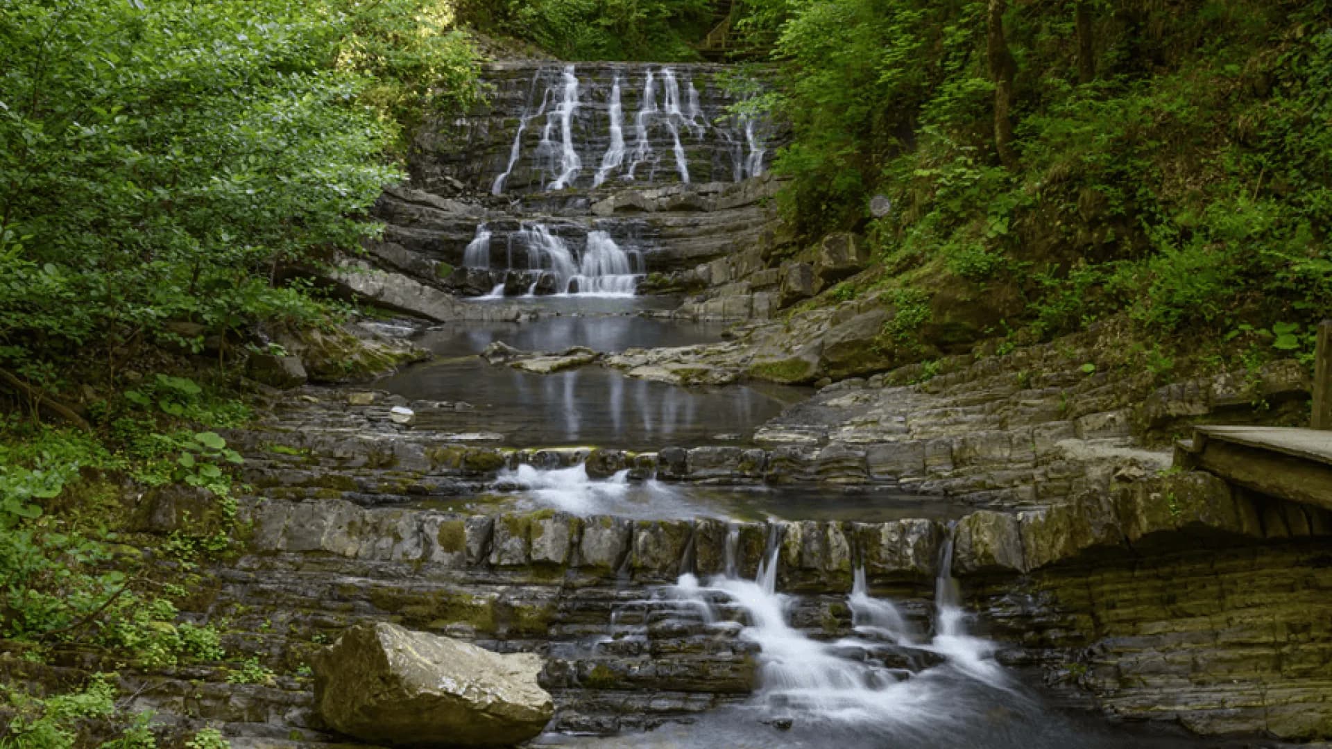 Изображение услуги1