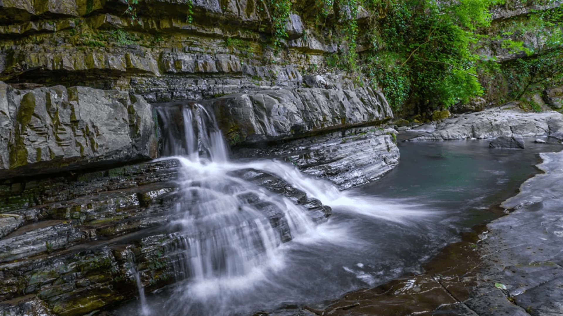 Изображение услуги4