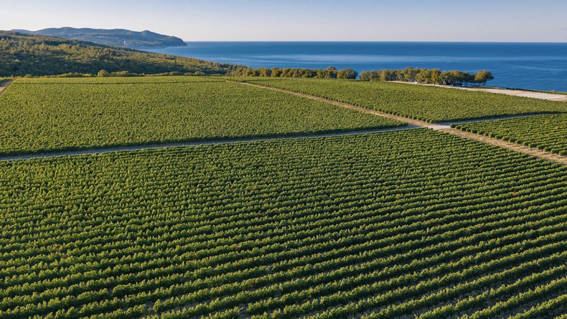 Изображение услуги5