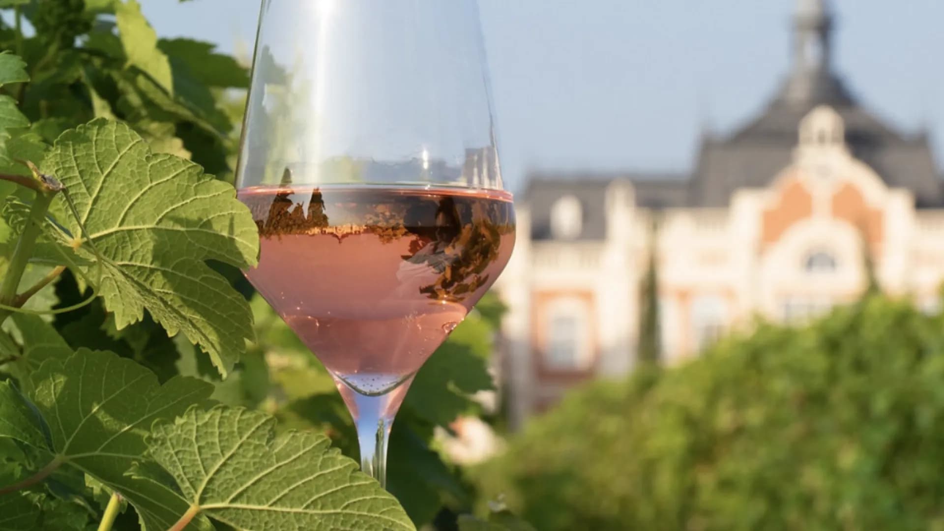 Изображение услуги9