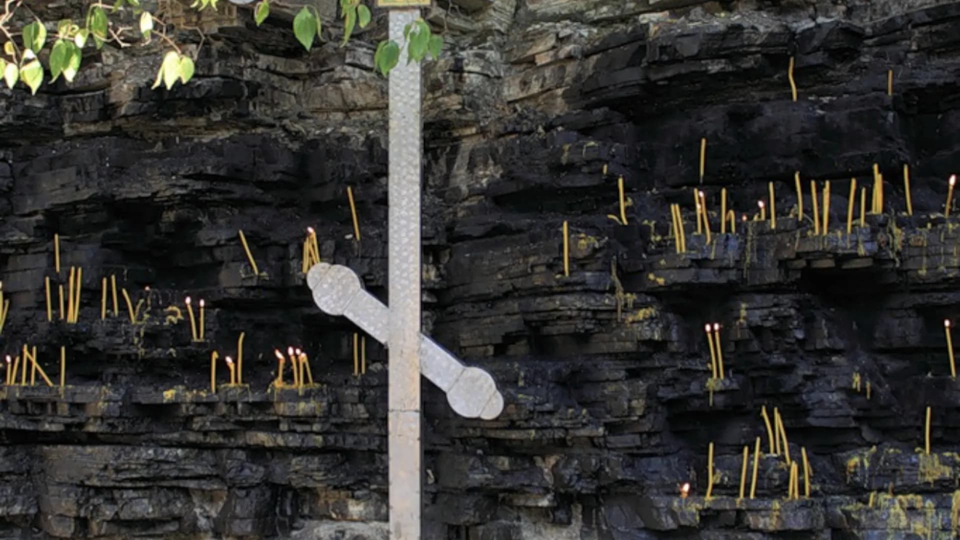 Изображение услуги5