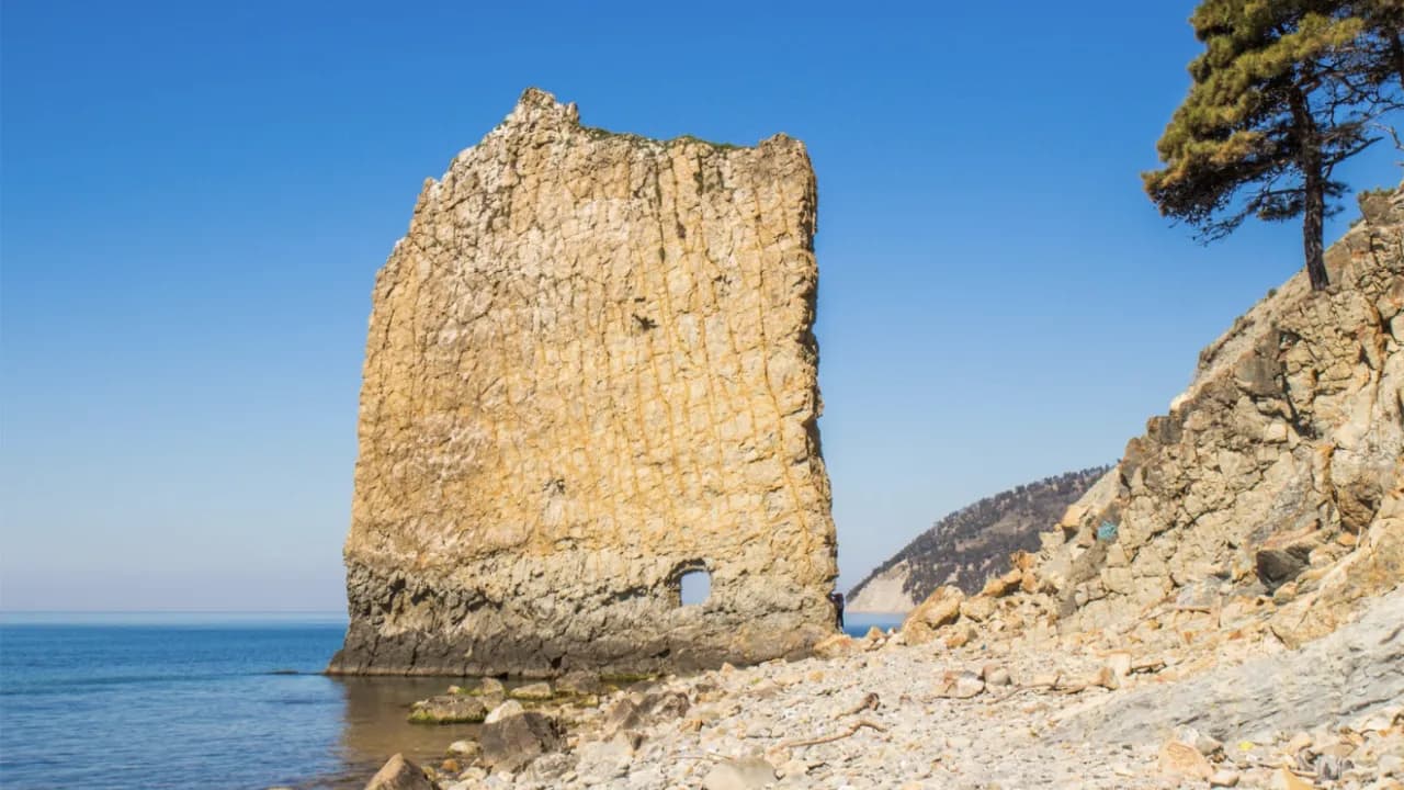 Изображение услуги6