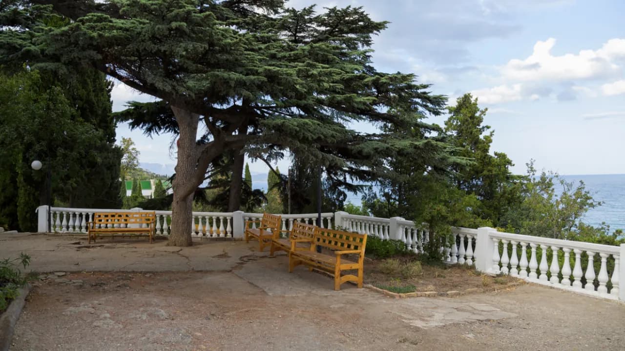 Изображение услуги7