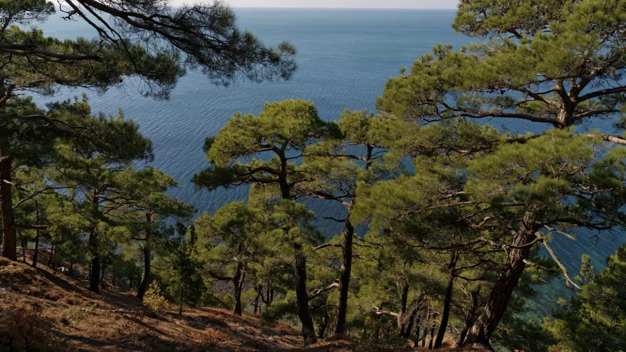 Изображение услуги8