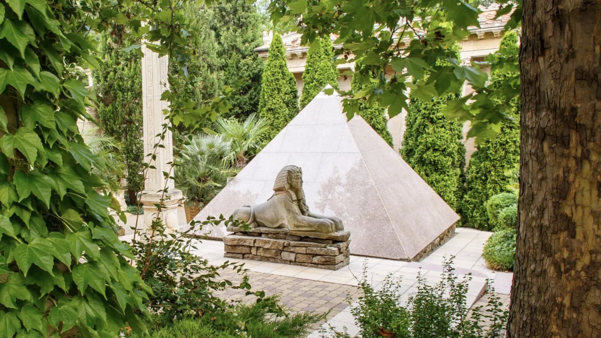 Изображение услуги3