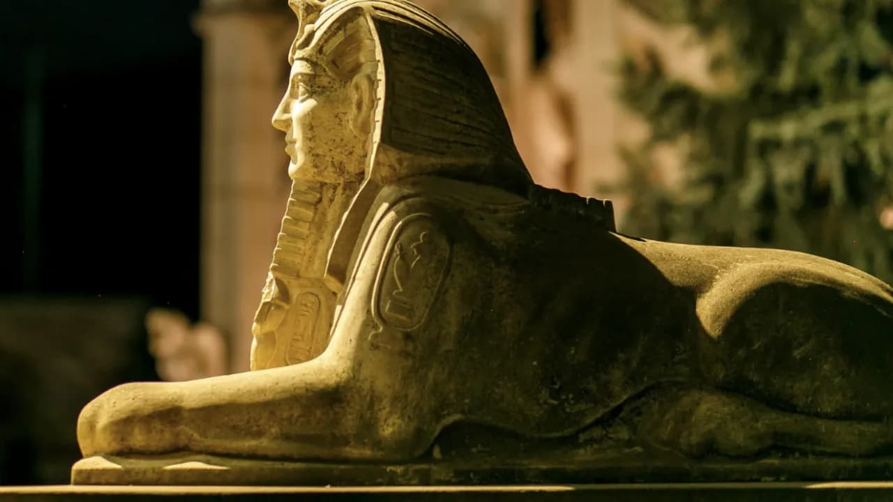 Изображение услуги9