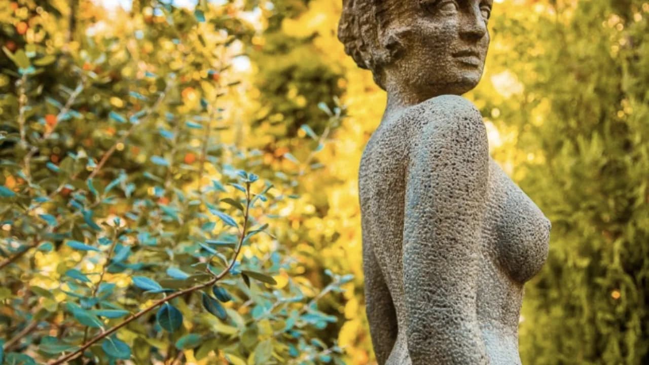 Изображение услуги10