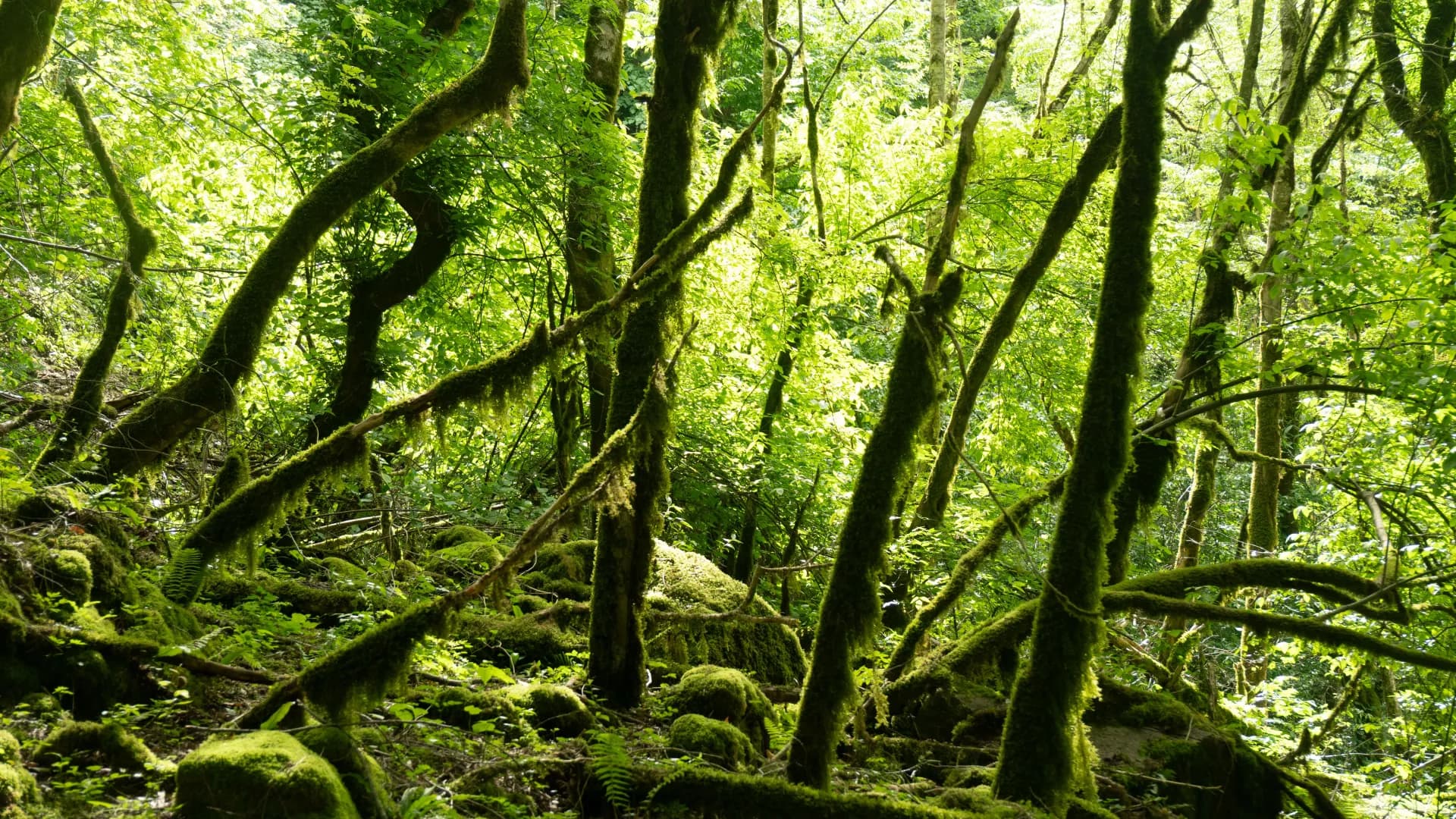 Изображение услуги4