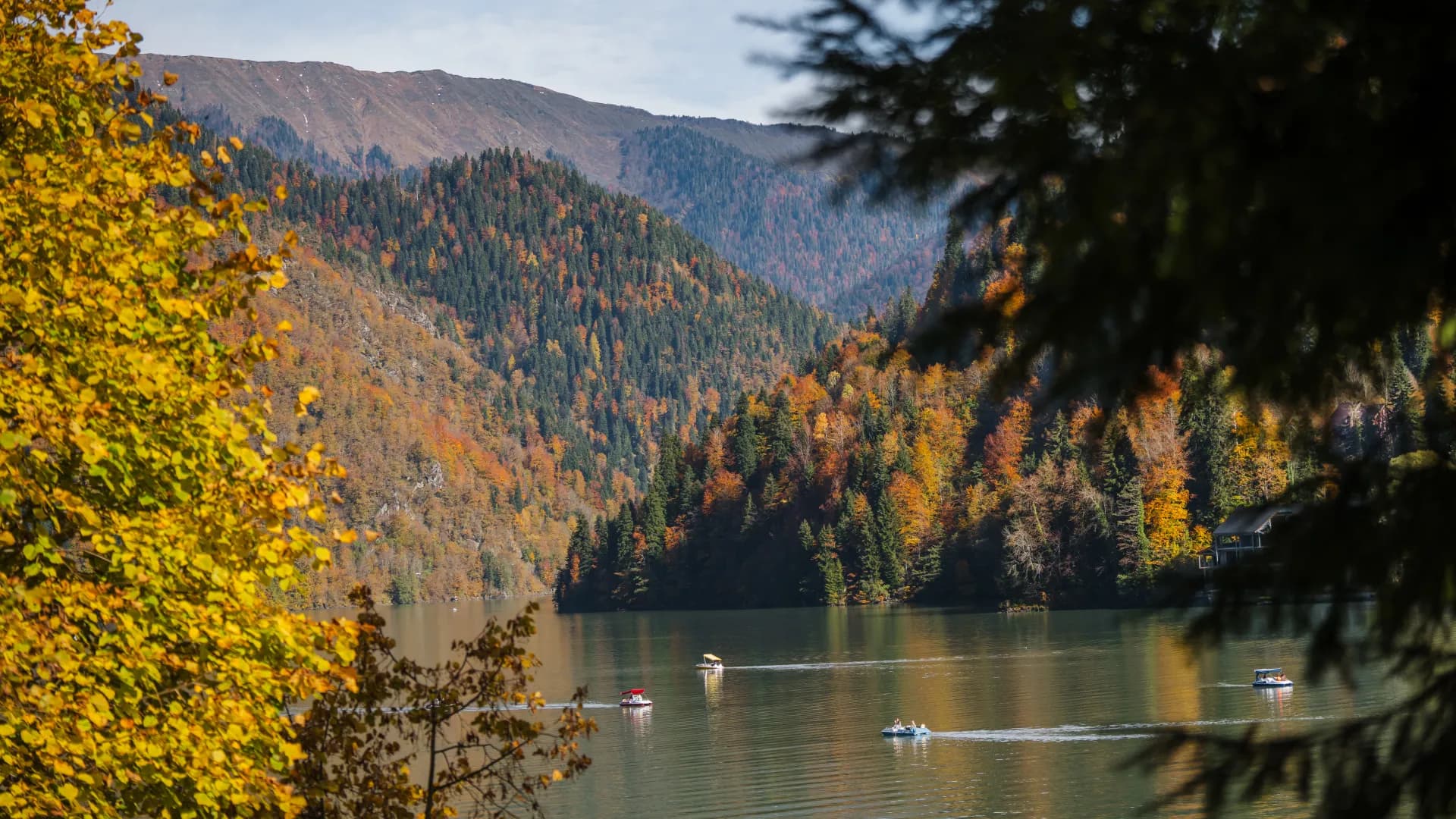 Изображение услуги5