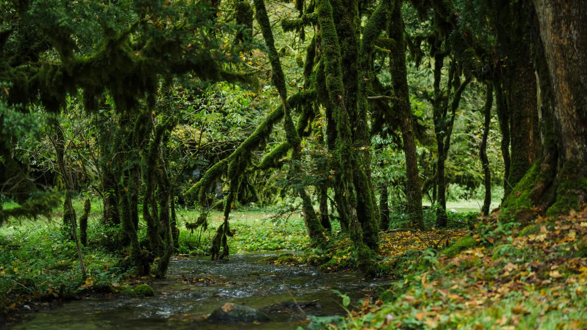 Изображение услуги7