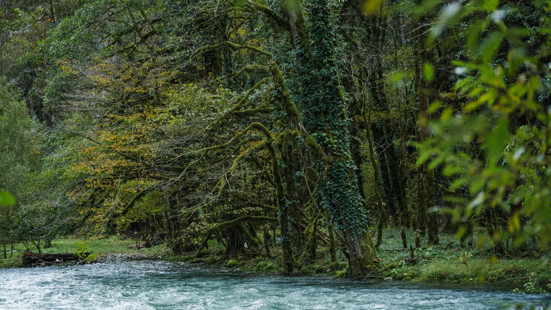 Изображение услуги8