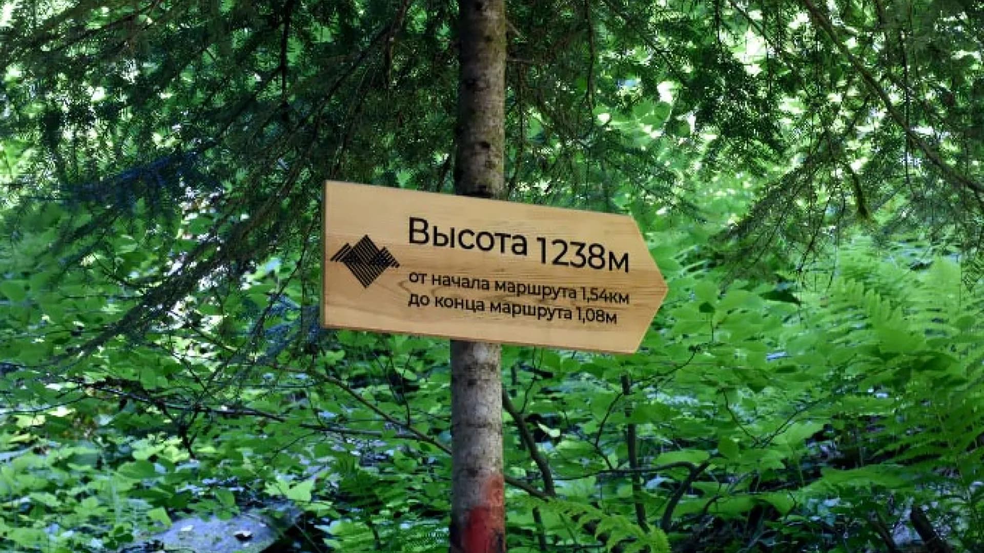 Изображение услуги13