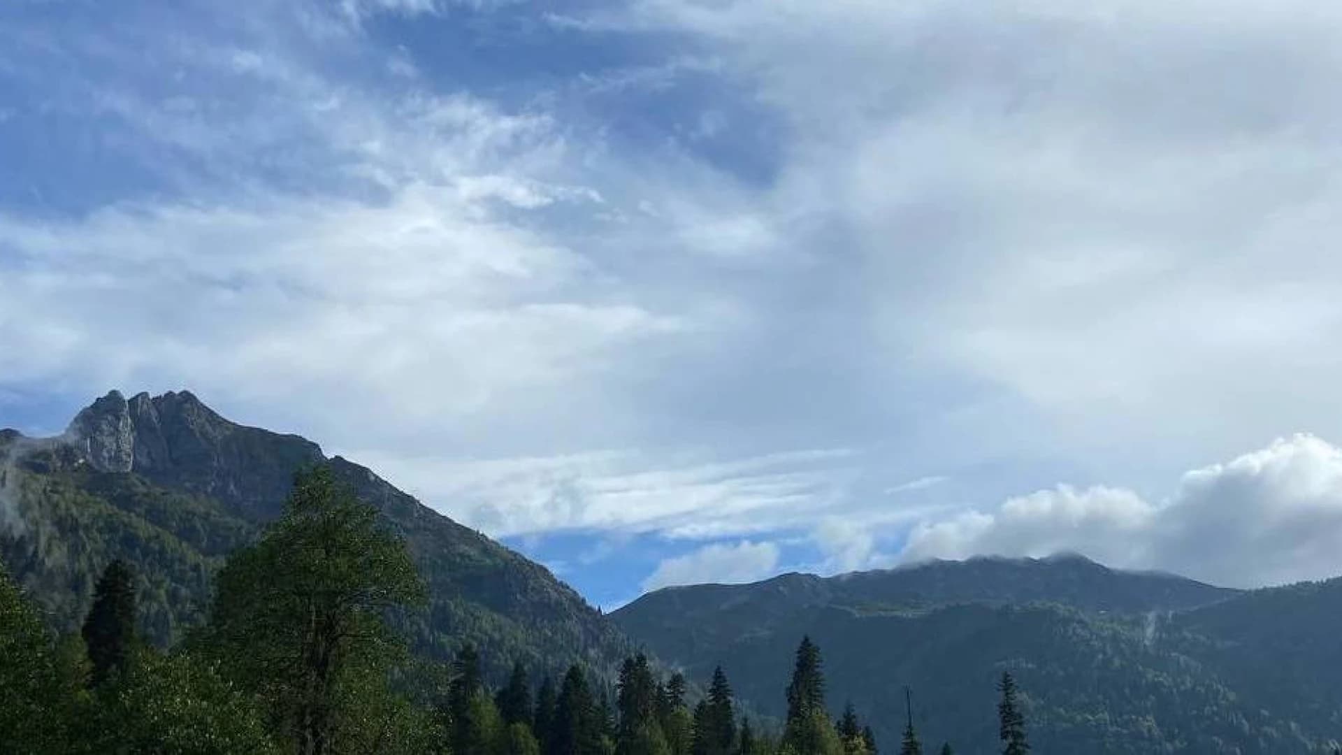 Изображение услуги7