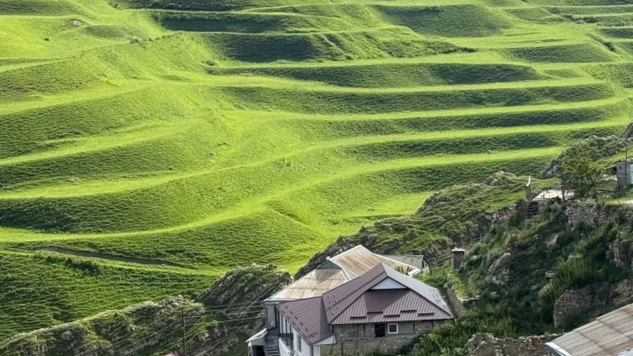 Изображение услуги6