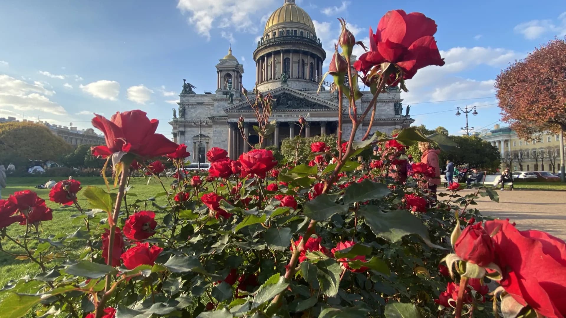 Изображение услуги4