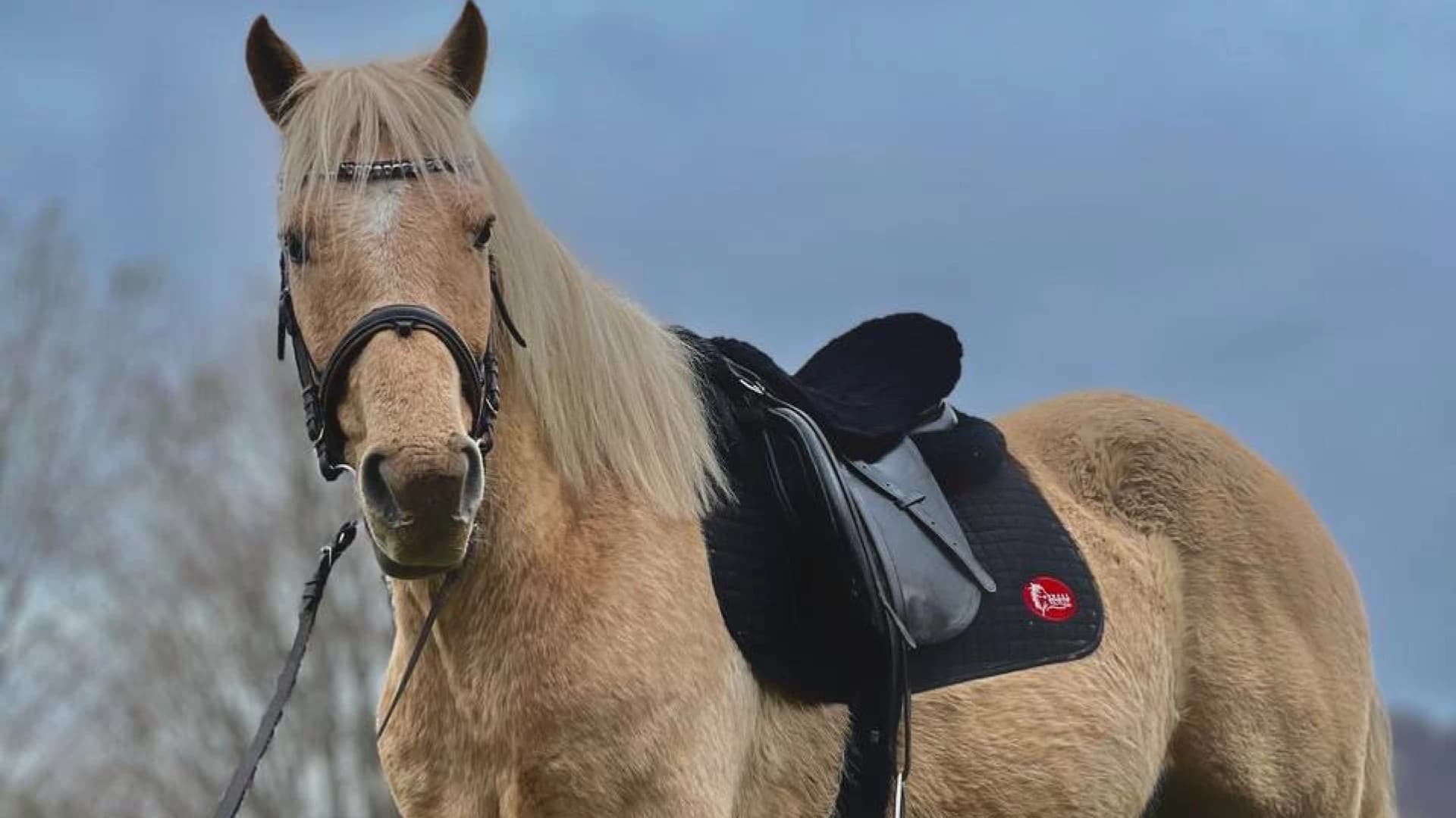 Изображение услуги1