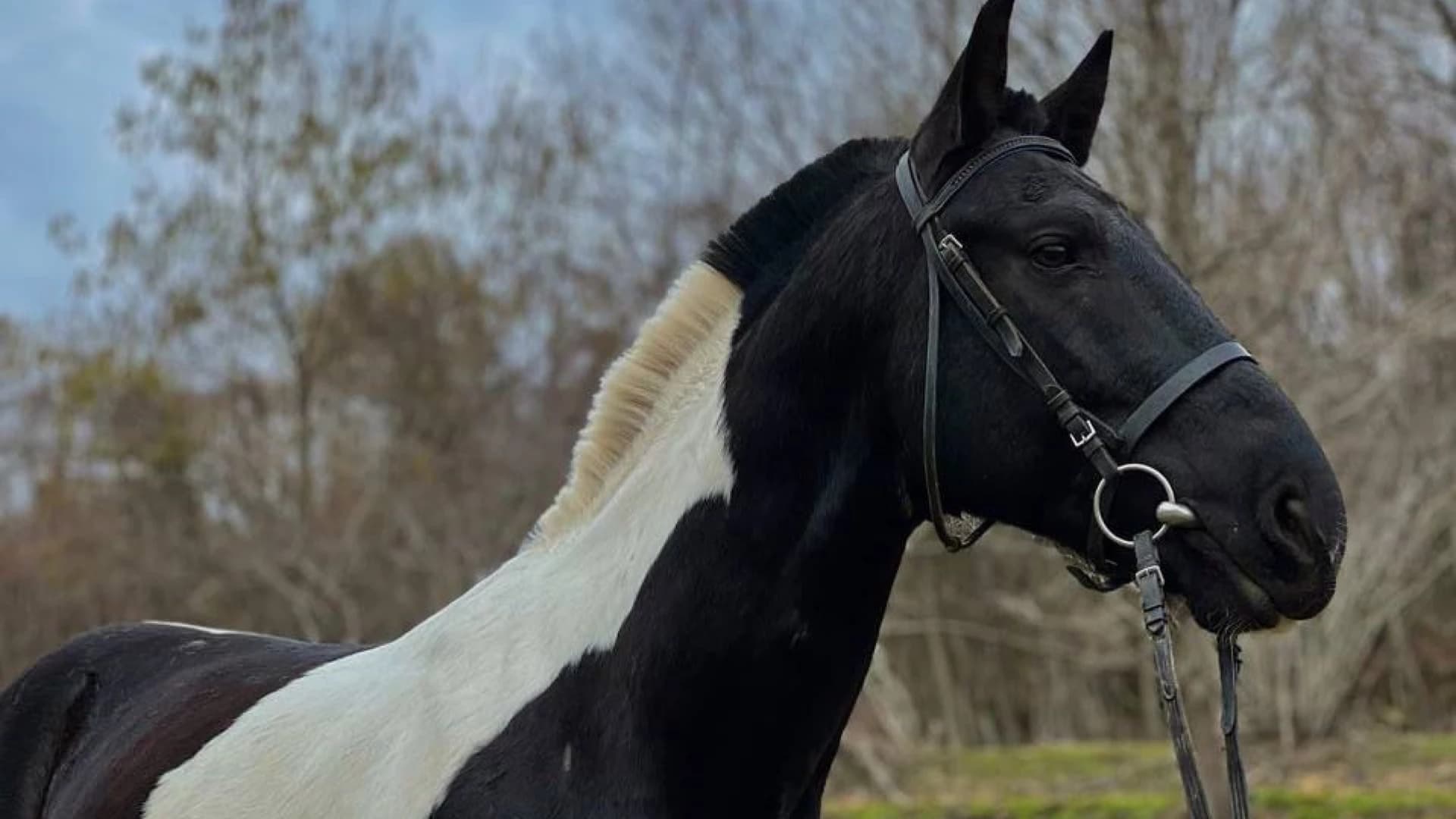 Изображение услуги2