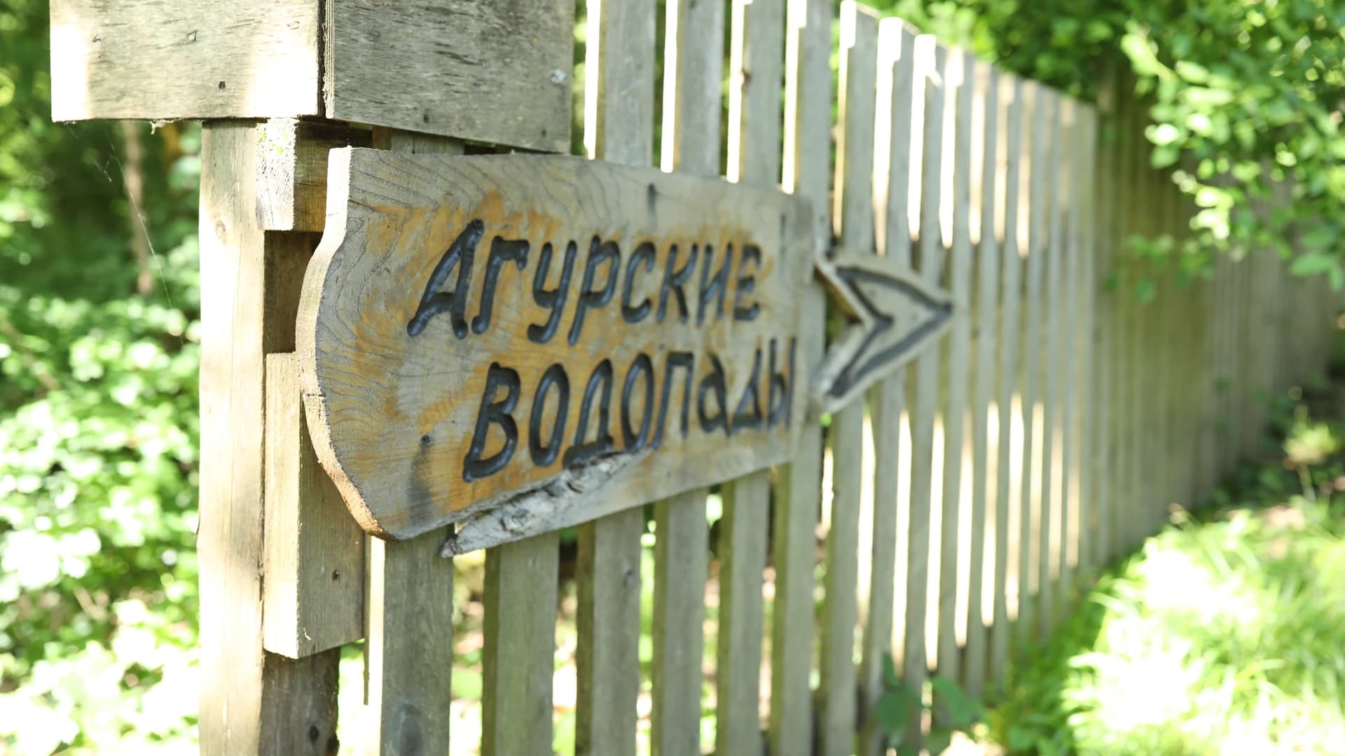 Изображение услуги5