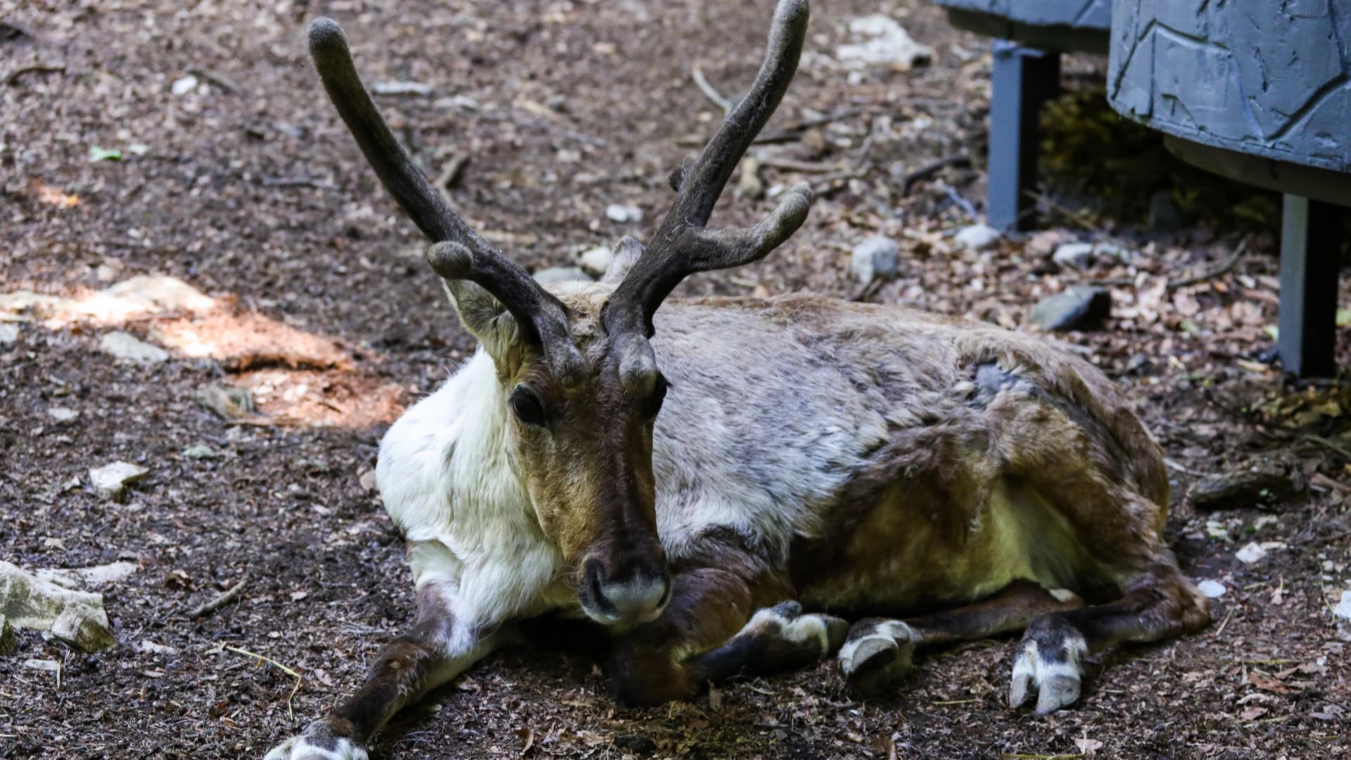 Изображение услуги6