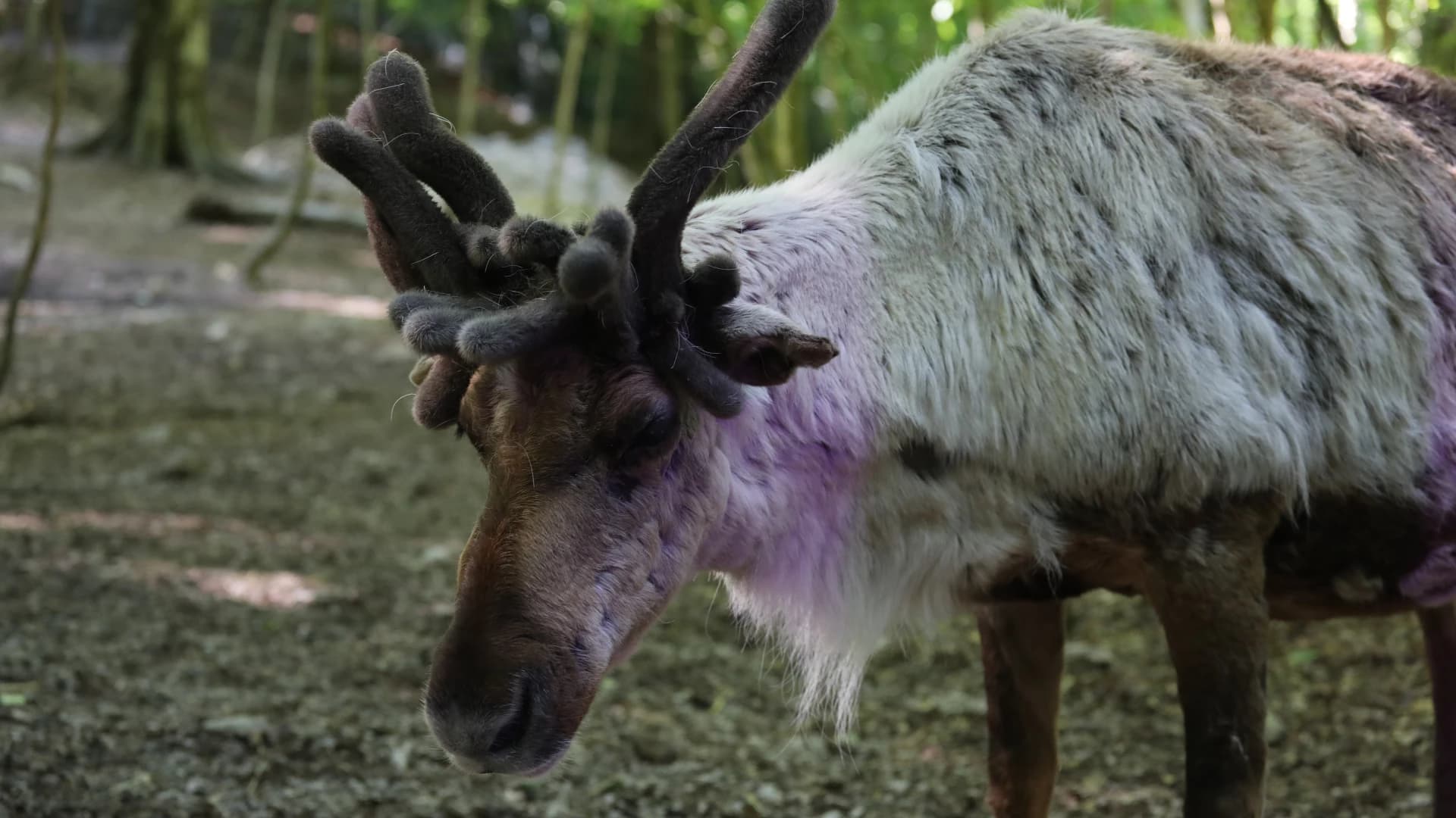 Изображение услуги7