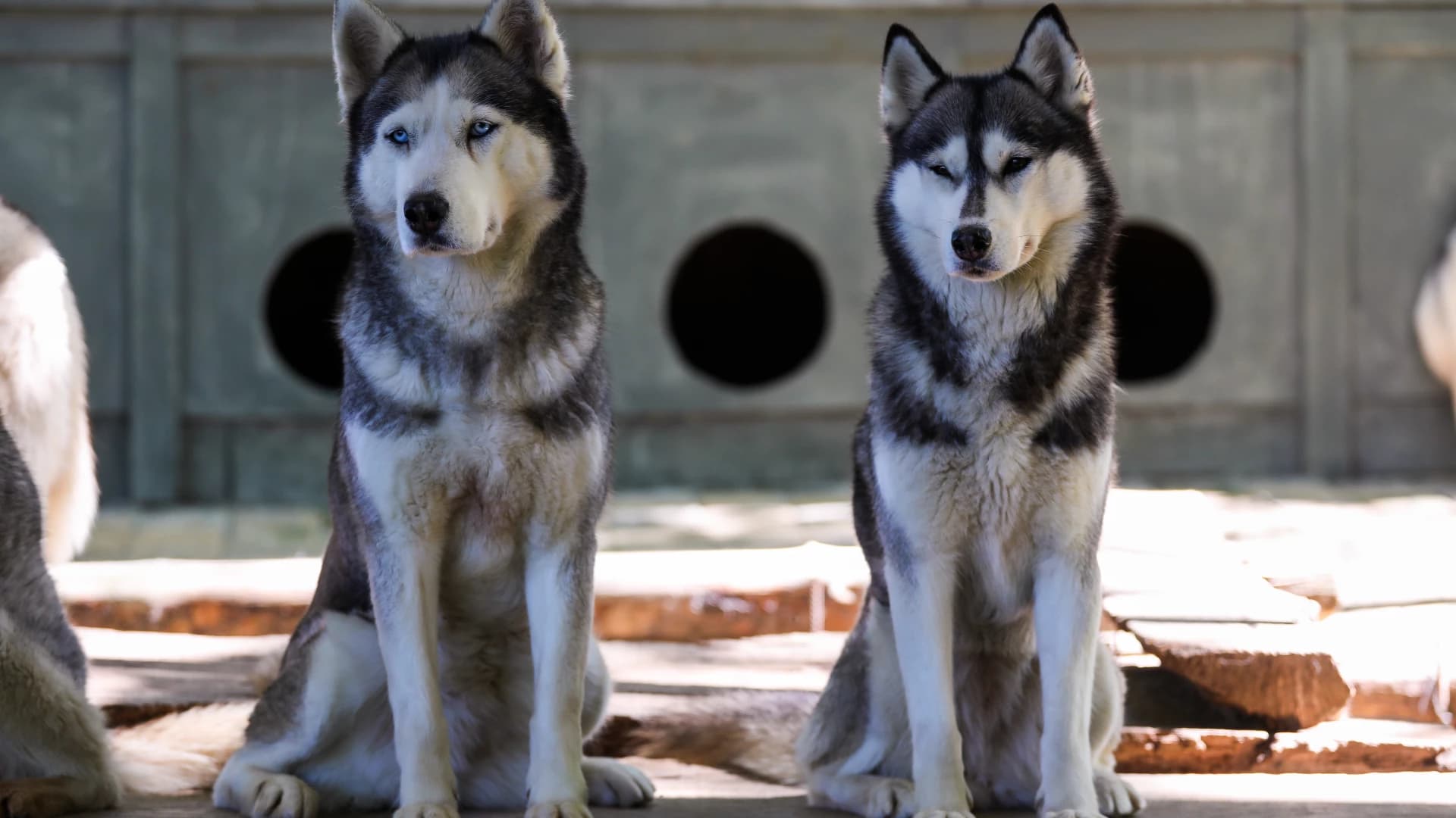 Изображение услуги8