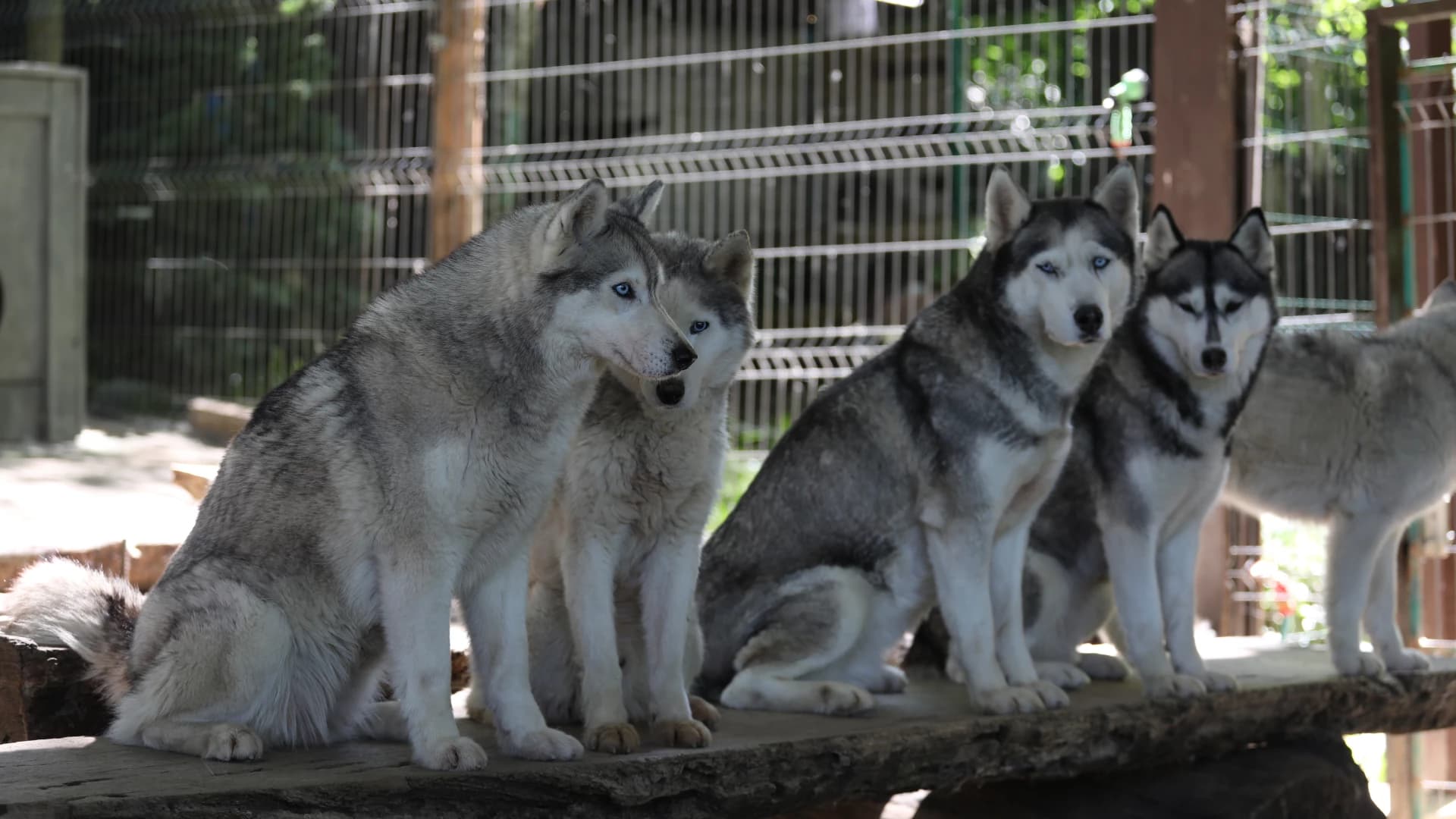 Изображение услуги9