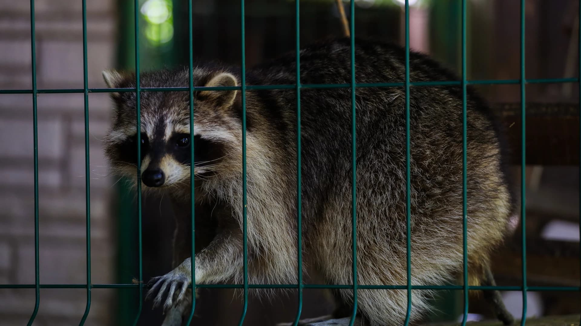 Изображение услуги10