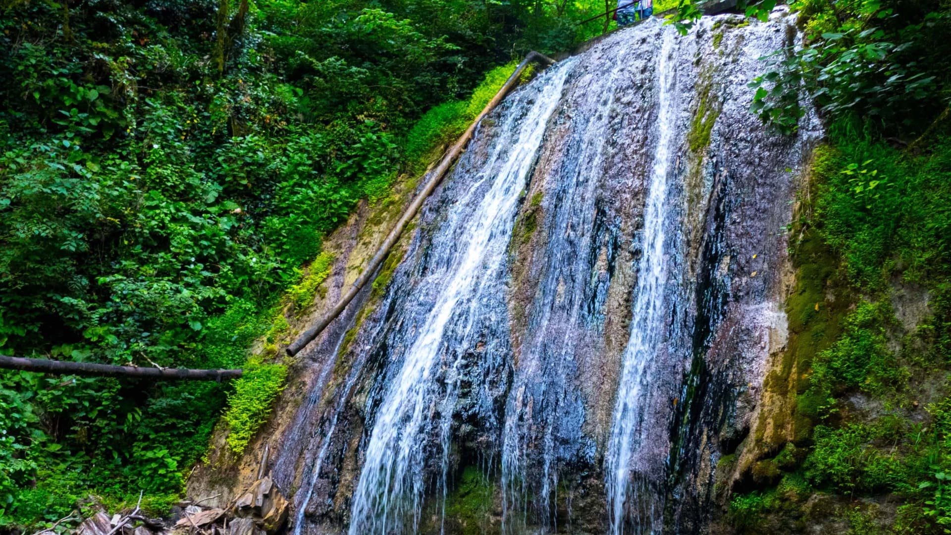 Изображение услуги2