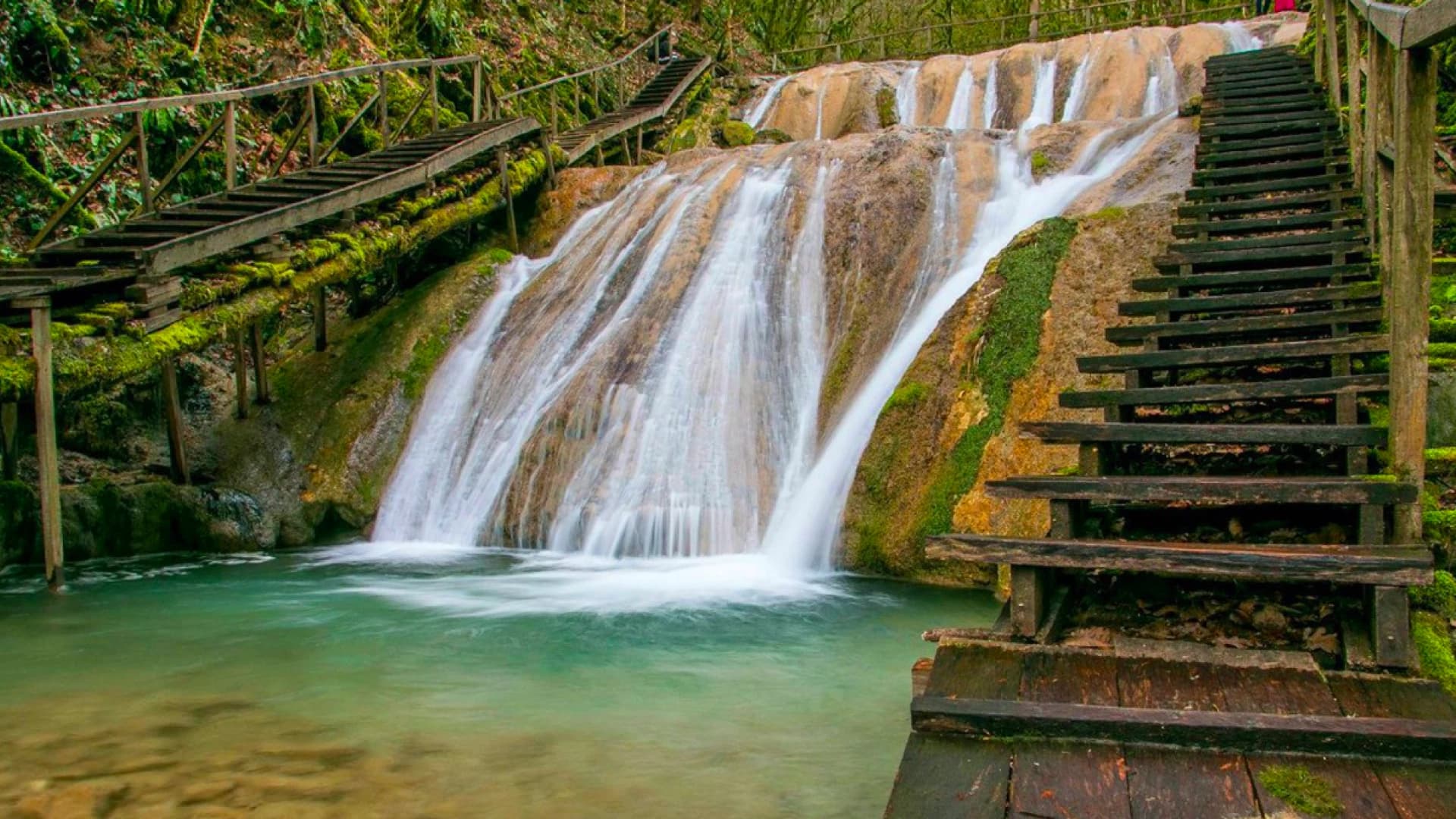 Изображение услуги3