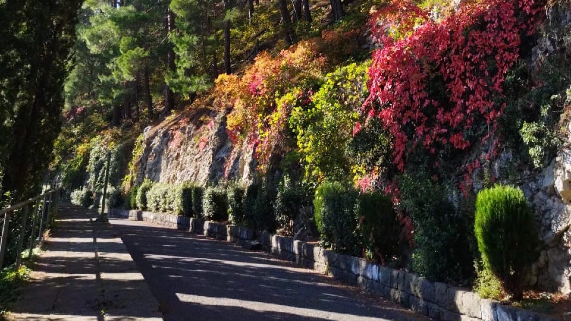 Изображение услуги5