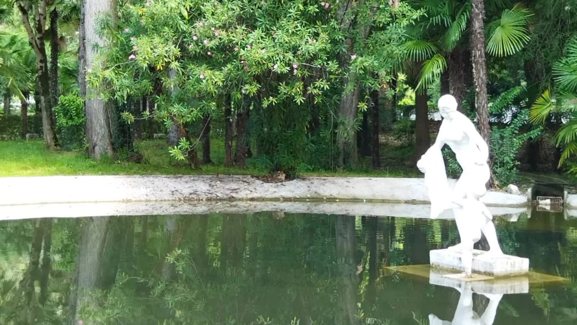 Изображение услуги4