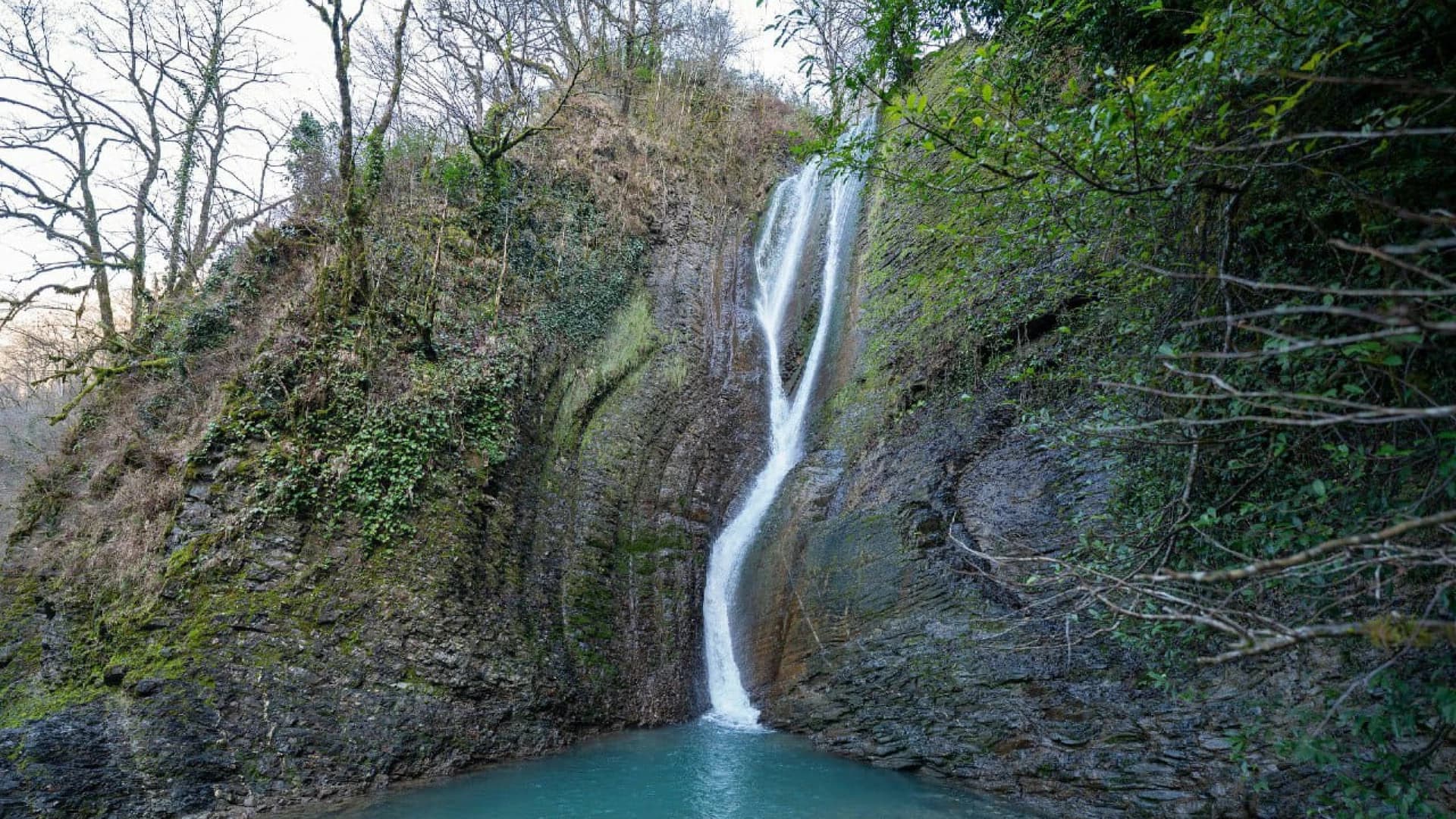 Изображение услуги3