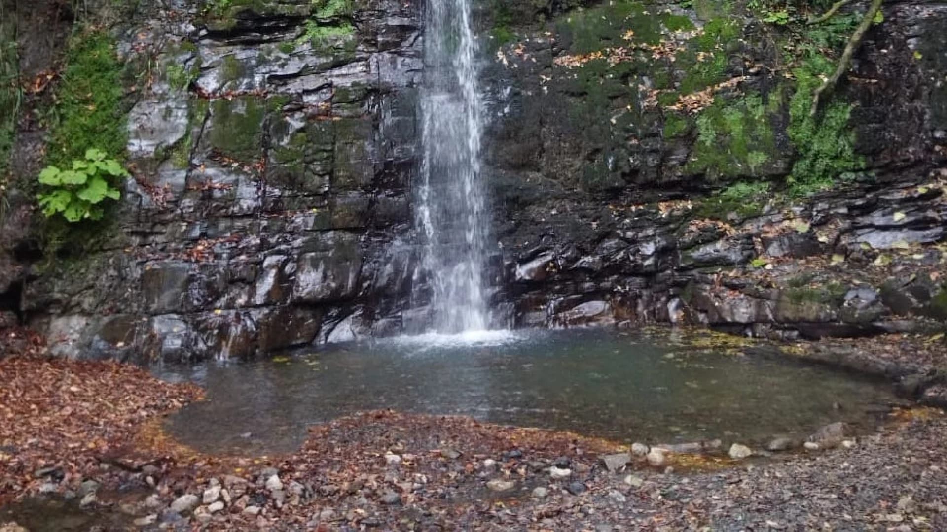 Изображение услуги4