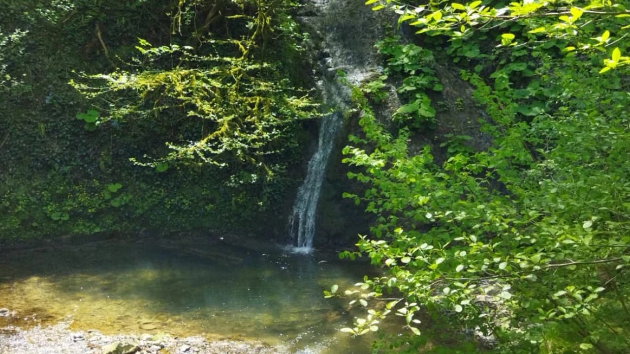 Изображение услуги4