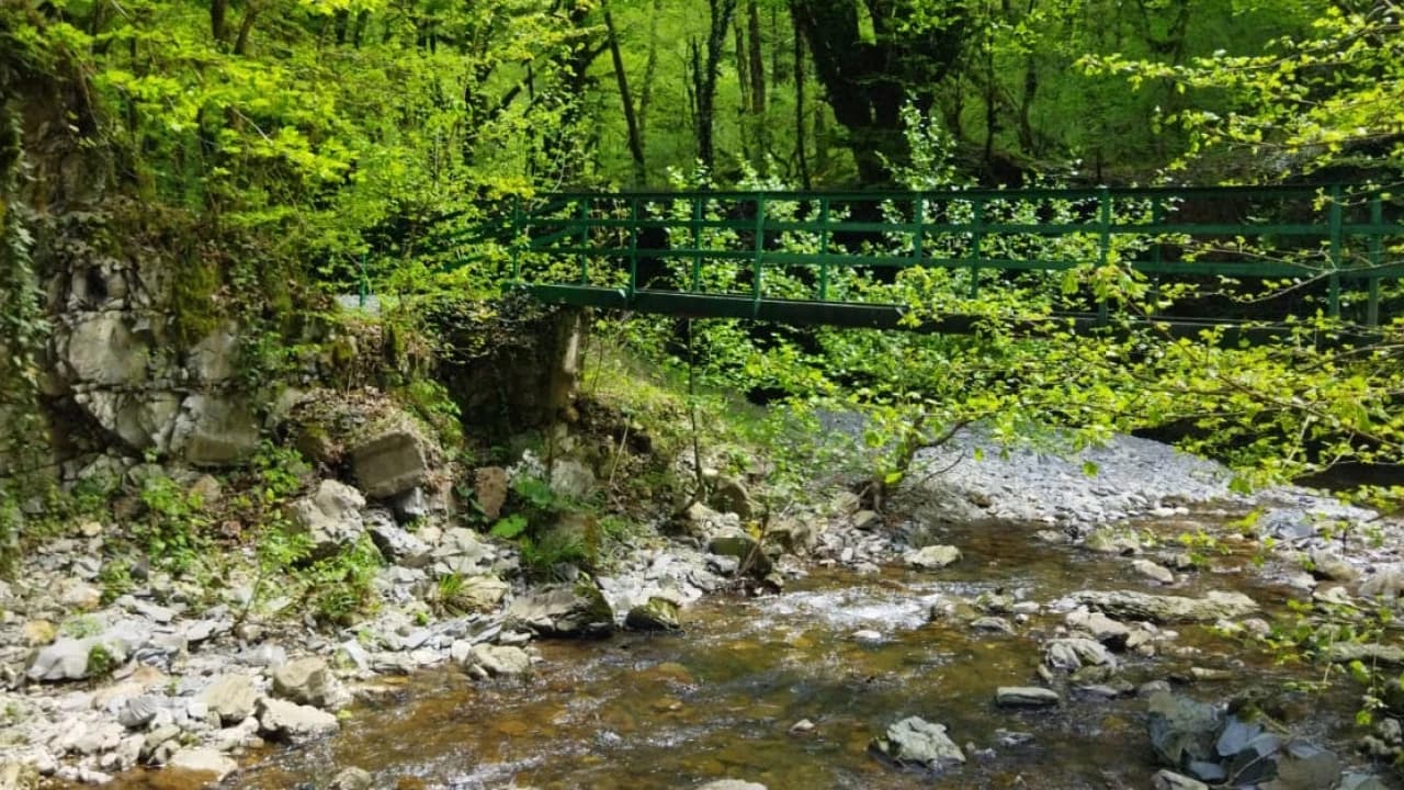 Изображение услуги5