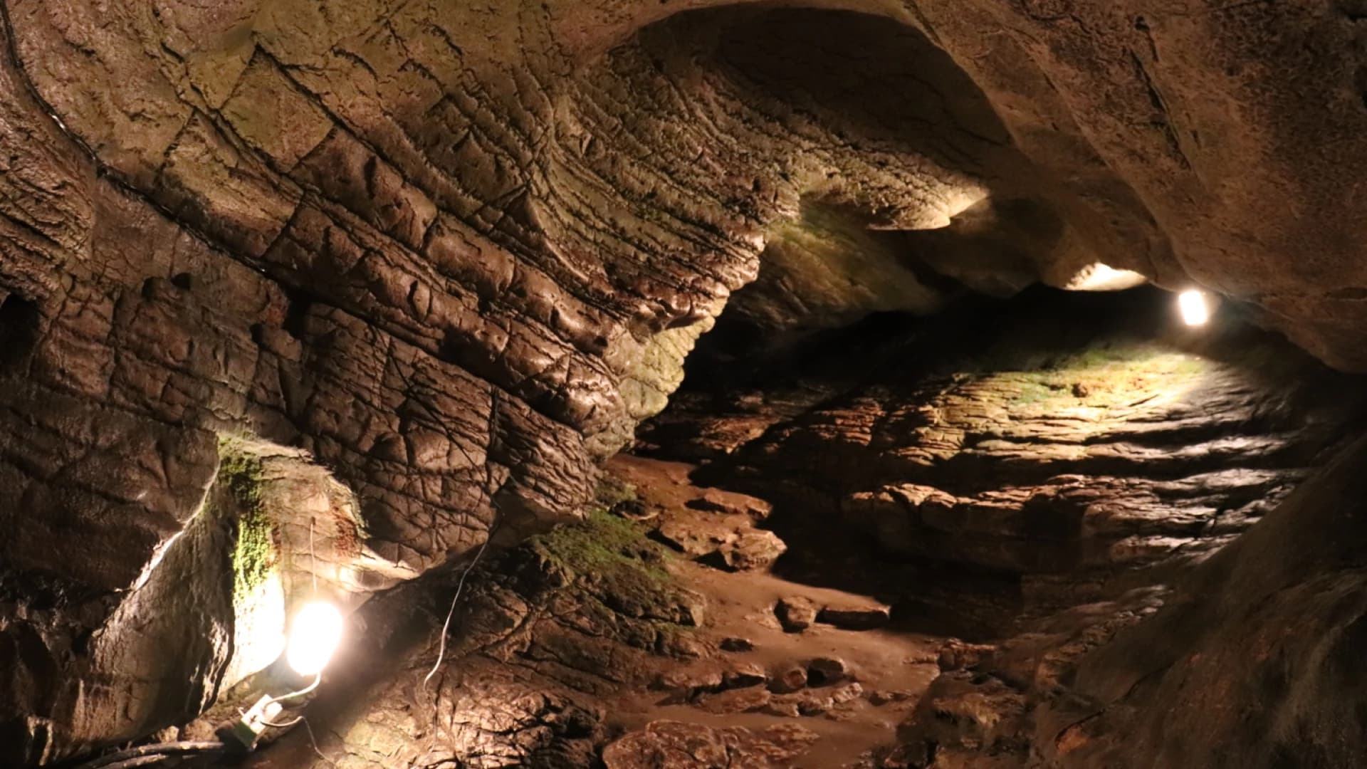 Изображение услуги5